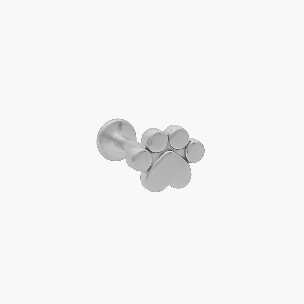 Paw Top Titanium Flat Back Stud Earrings-Tragus | Cartilage | Daith | Conch-1-Glitters